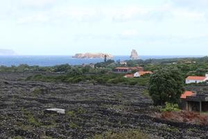 Azor1609111039b.jpg