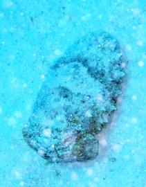 Egpt2209021059.jpg