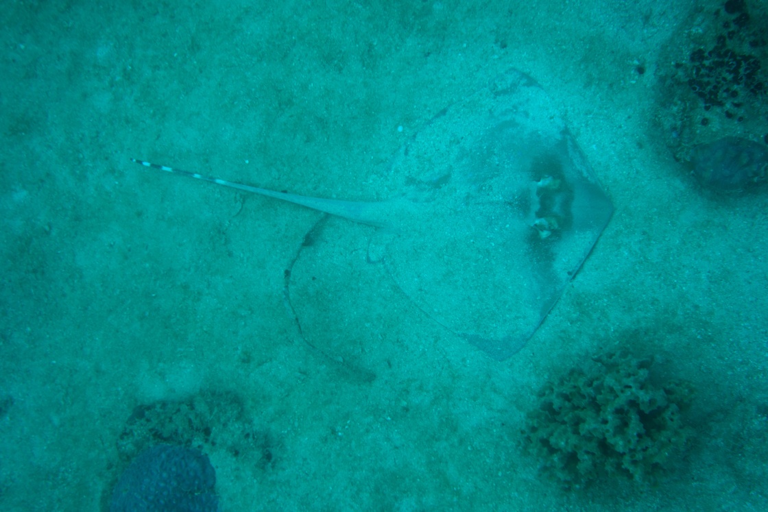 Mad1403190910b.JPG