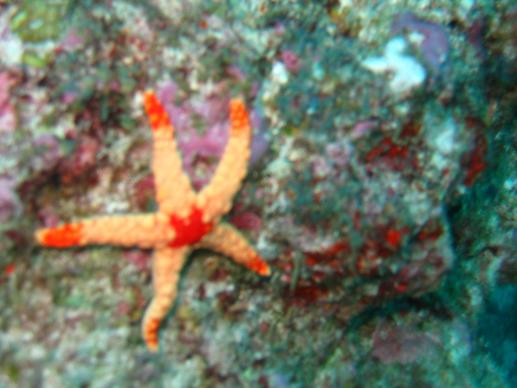MAL060908_1436.jpg