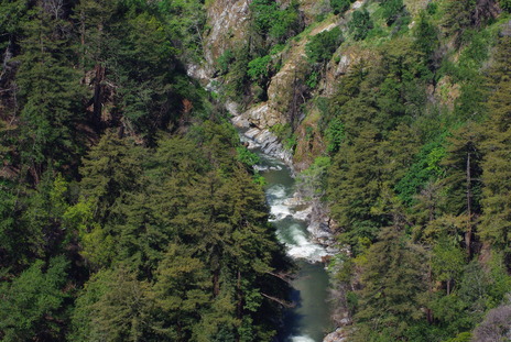 Mont1004181101.jpg