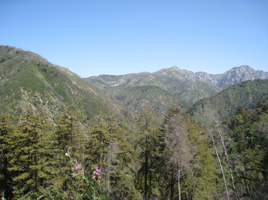 Mont1004181129.jpg