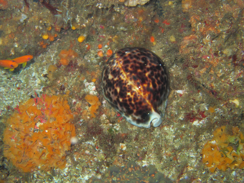 Umko1103220905b.JPG