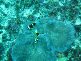 Umko1103240943a.jpg