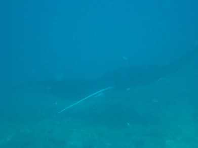 Tofo0902251015.jpg