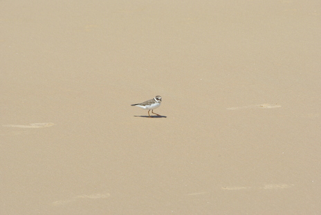 Tofo0902281302b.jpg