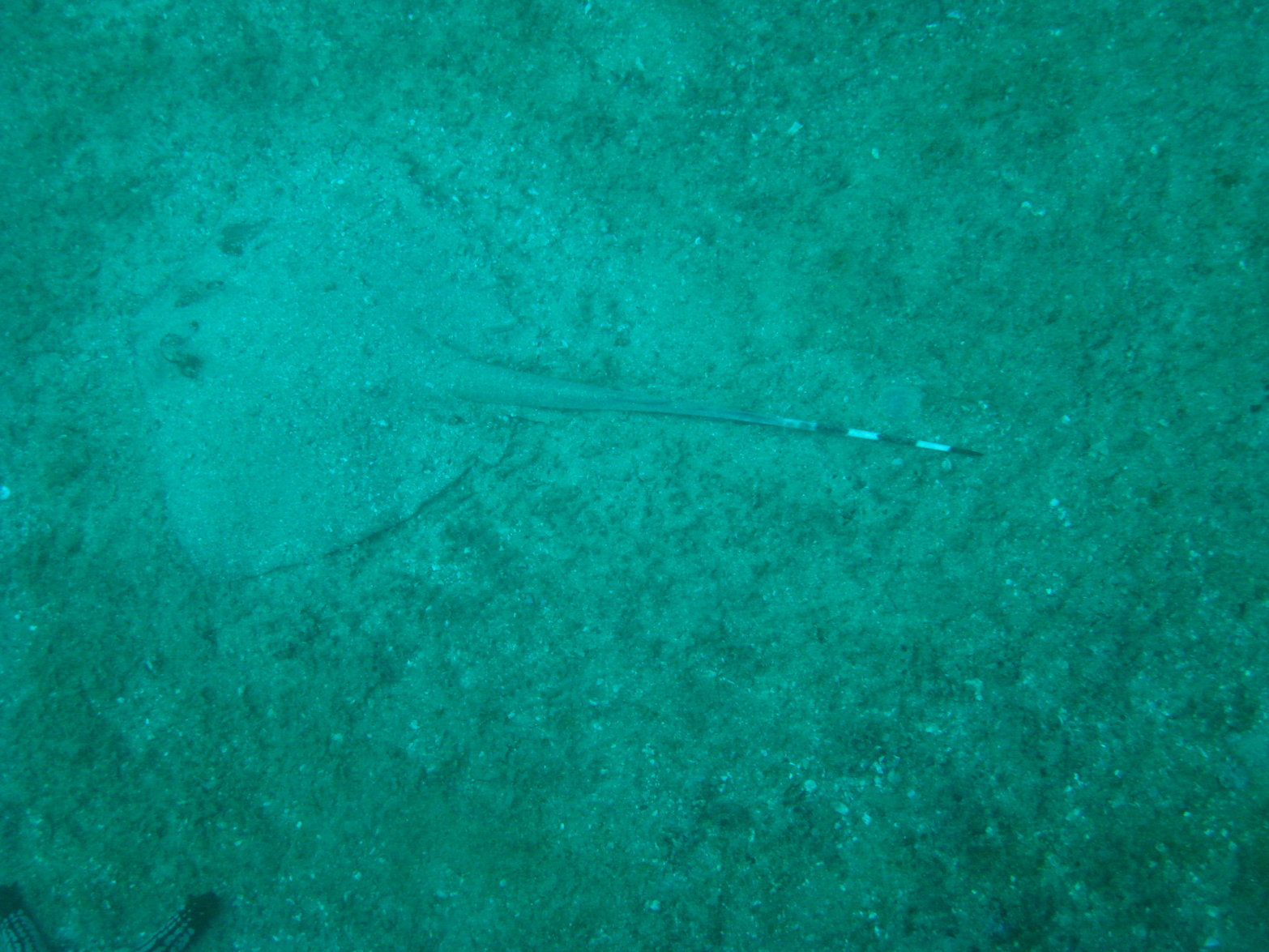 Tofo0909021206.JPG