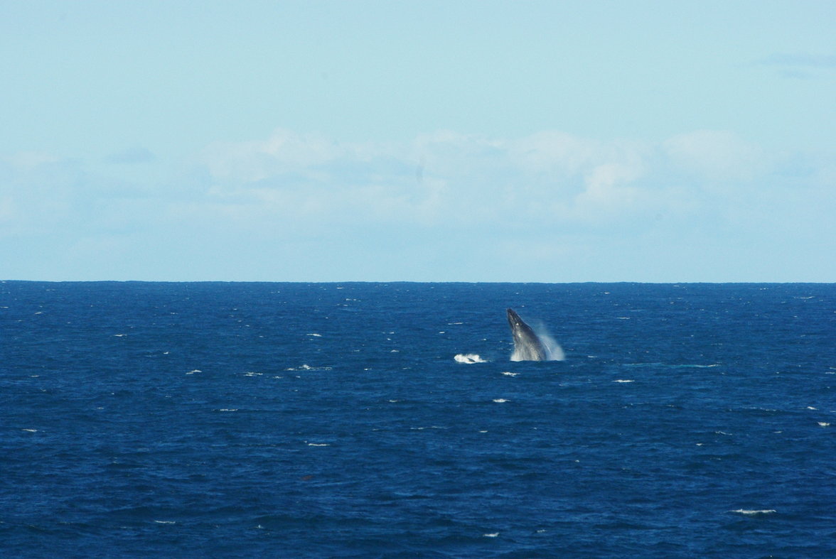 Zavora0908261637.JPG