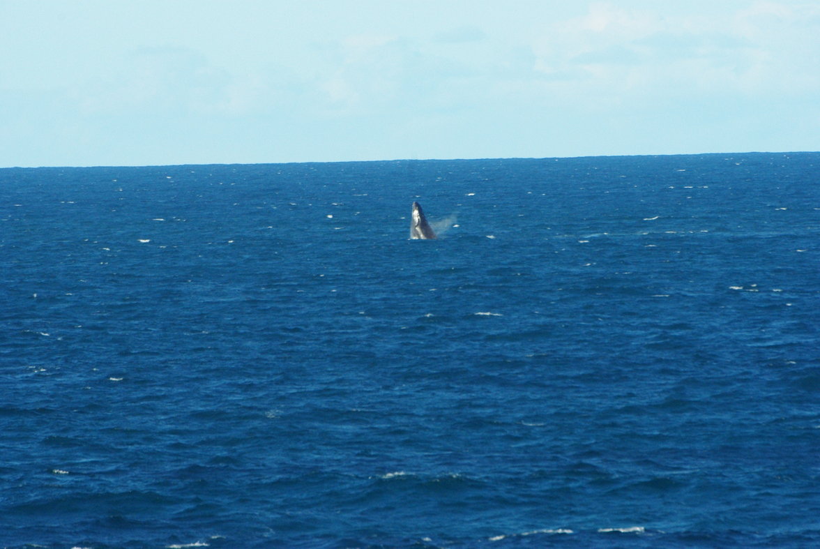 Zavora0908261638.JPG