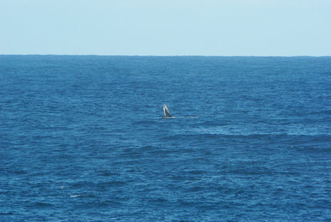 Zavora0908251654a.jpg