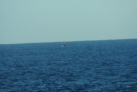 Zavora0908251756.jpg