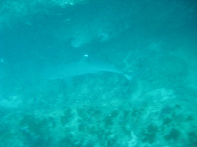 Zavora0908271329c.jpg