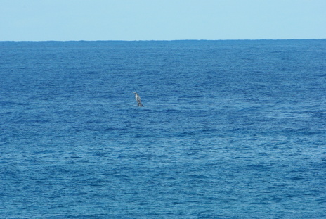 Zavora0908291544.jpg