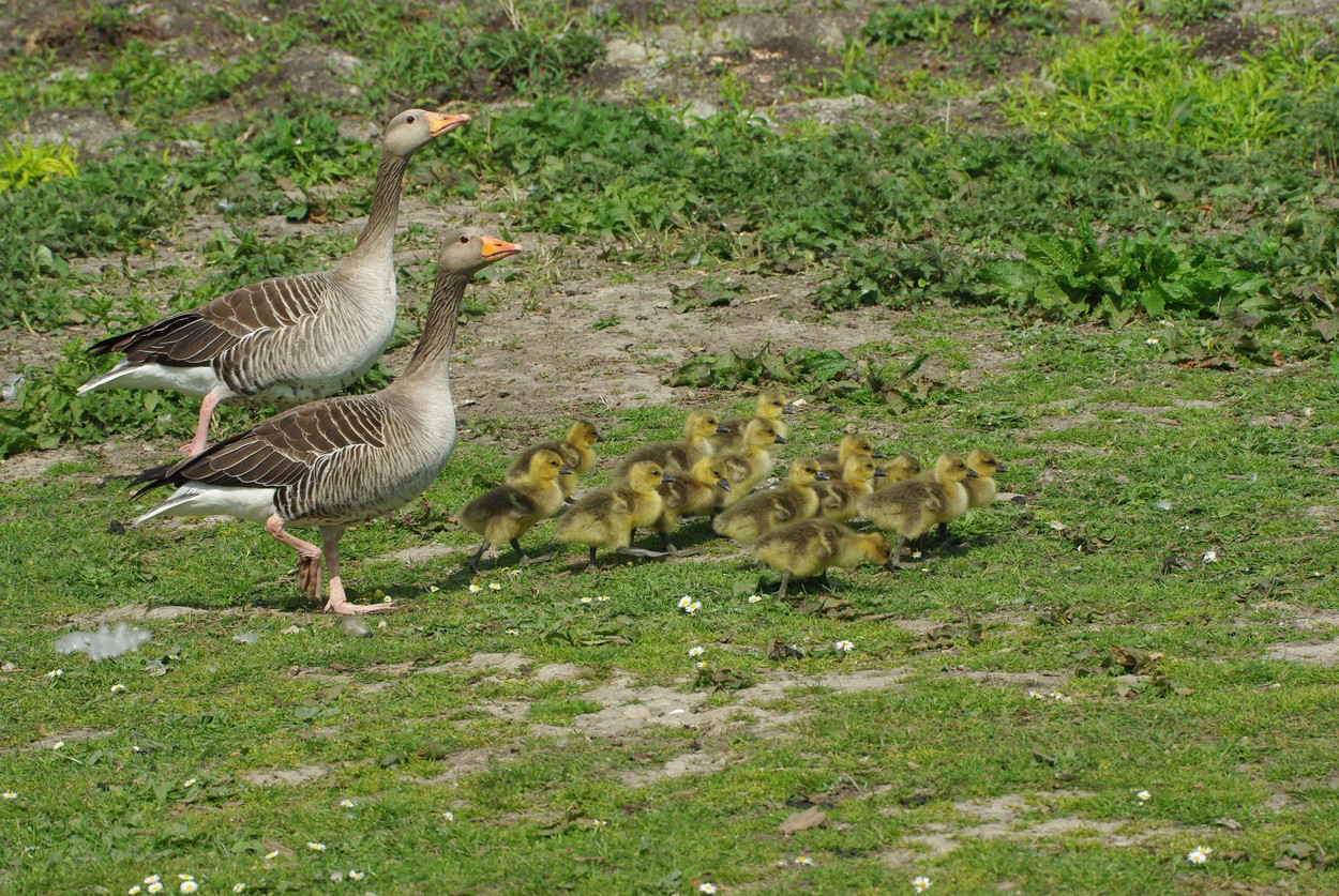 Utter0904271345.JPG