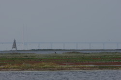 Falsterbo1109031611.jpg